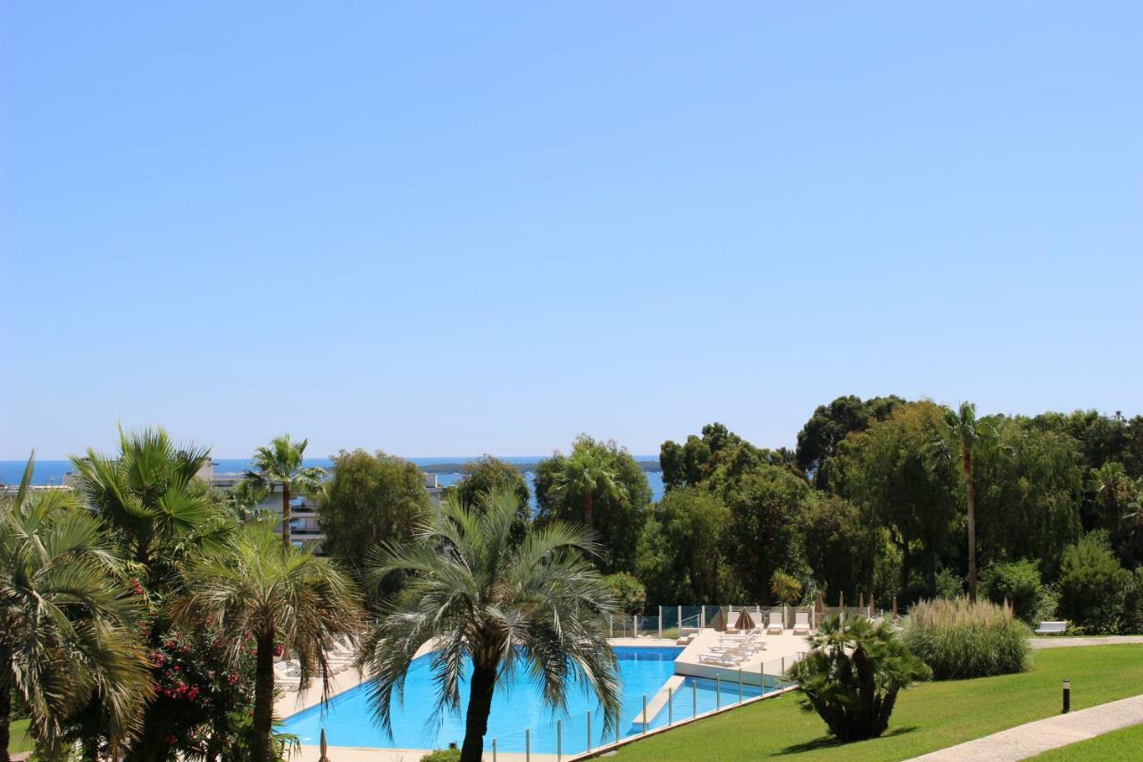2 Vue Panoramique, Proche Croisette Cannes Apartment Vallauris